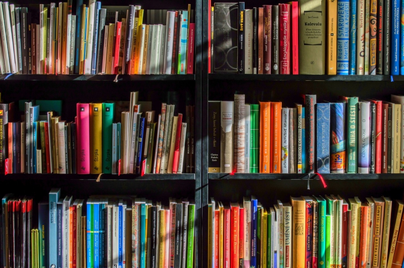 magasin-DRAGUIGNAN-min_books_bookstore_book_reading_shop_writer_sale_books_read-822866